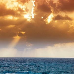 Meet your Posher, Elyane